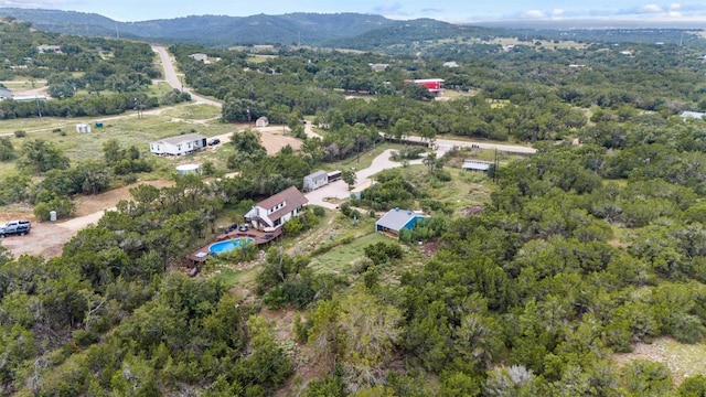 250 Kothmann Rd, Dripping Springs, TX 78620 - photo 30