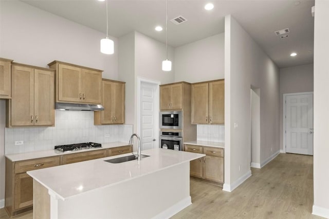 600 C-Bar Ranch Trl, Cedar Park, TX 78613 - kitchen with stainless steel appliances, a sink, under cabinet range hood, light wood-style flooring, and tasteful backsplash