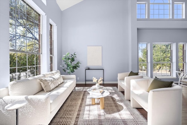 living room featuring high vaulted ceiling, wood finished floors, and a wealth of natural light