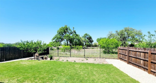4337 Buffalo Ford Rd, Georgetown, TX 78628 - view of yard