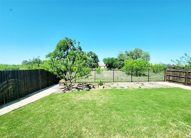 4337 Buffalo Ford Rd, Georgetown, TX 78628 - view of yard