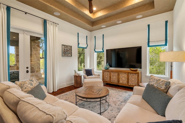 19520 Tessa Hts, Spicewood, TX 78669 - living room featuring a tray ceiling, wood finished floors, french doors, baseboards, and recessed lighting