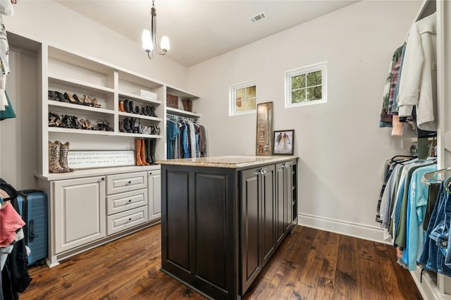 19520 Tessa Hts, Spicewood, TX 78669 - spacious closet featuring dark wood-type flooring