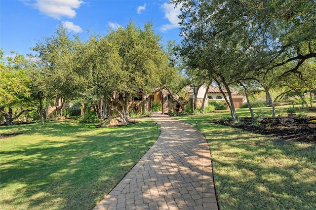 view of community featuring a yard