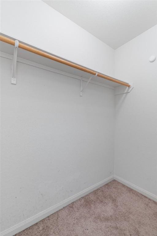 walk in closet featuring carpet floors