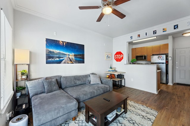 living area featuring a ceiling fan, crown molding, and wood finished floors