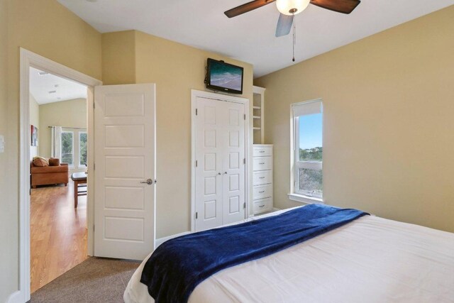 bedroom with ceiling fan and carpet flooring