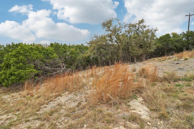1024 Summit Blf, Canyon Lake, TX 78133 - view of nature