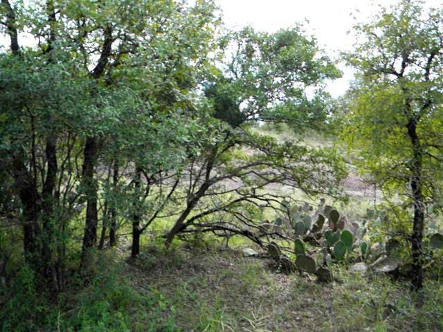 TBD Hill Cir S, Marble Falls TX, 76854 land for sale