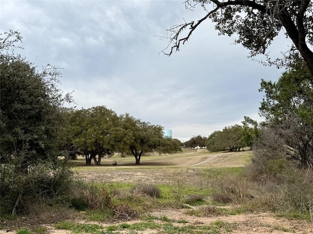 view of local wilderness