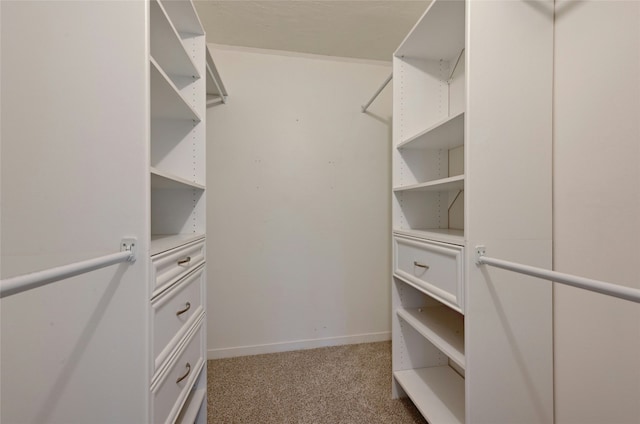 spacious closet with carpet floors