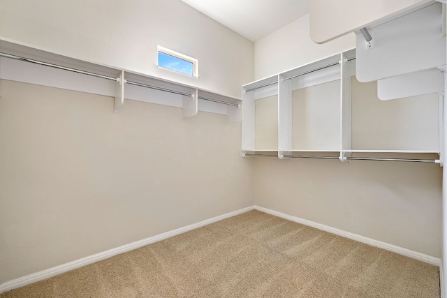 spacious closet featuring carpet flooring