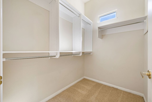 walk in closet featuring light colored carpet