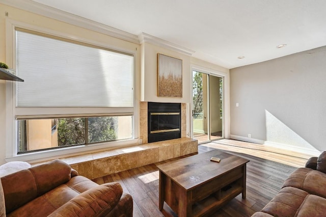 living room featuring baseboards, a fireplace, wood finished floors, and a healthy amount of sunlight