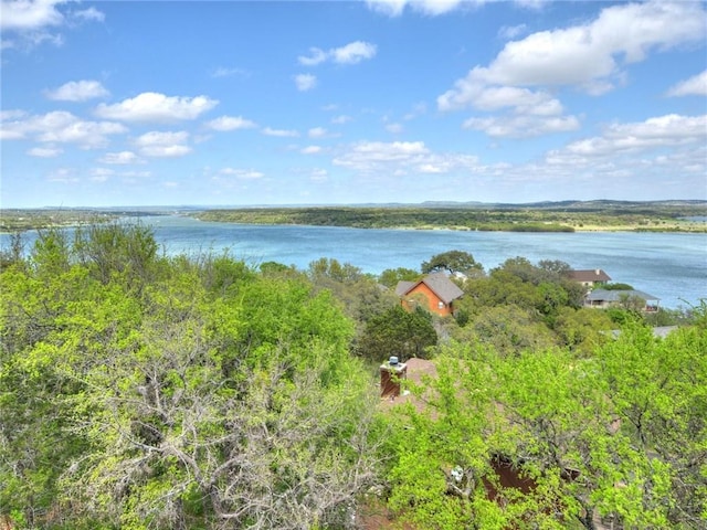115 Hill Loop, Spicewood, TX 78669 - water view