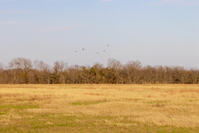 view of landscape featuring a rural view