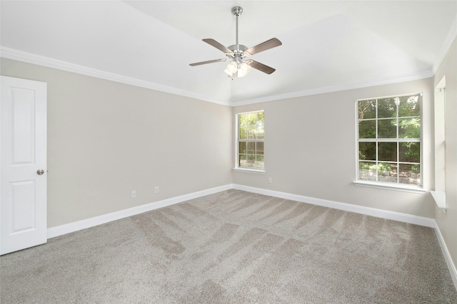 carpeted empty room with baseboards, a wealth of natural light, and crown molding