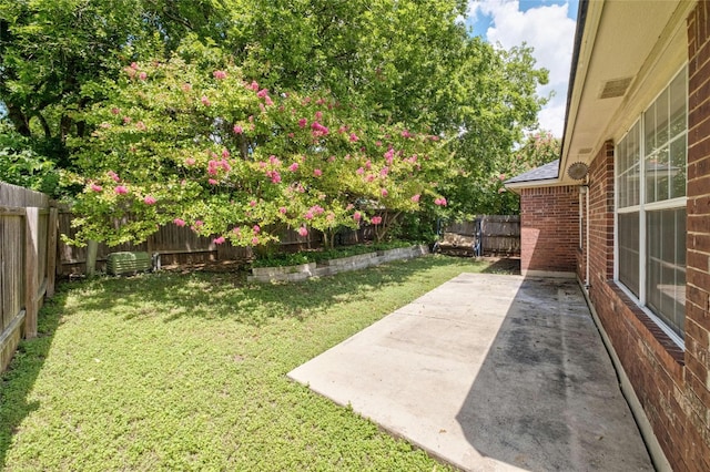 view of yard with a patio area and a fenced backyard