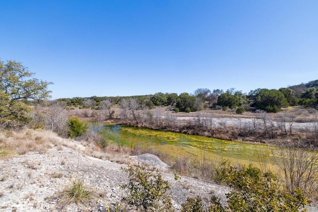 view of local wilderness featuring a water view