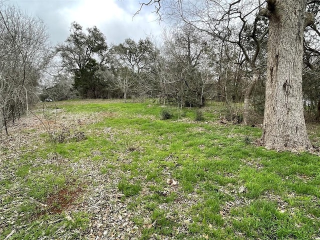 Listing photo 2 for 5884 Tenneycreek Rd, Luling TX 78648