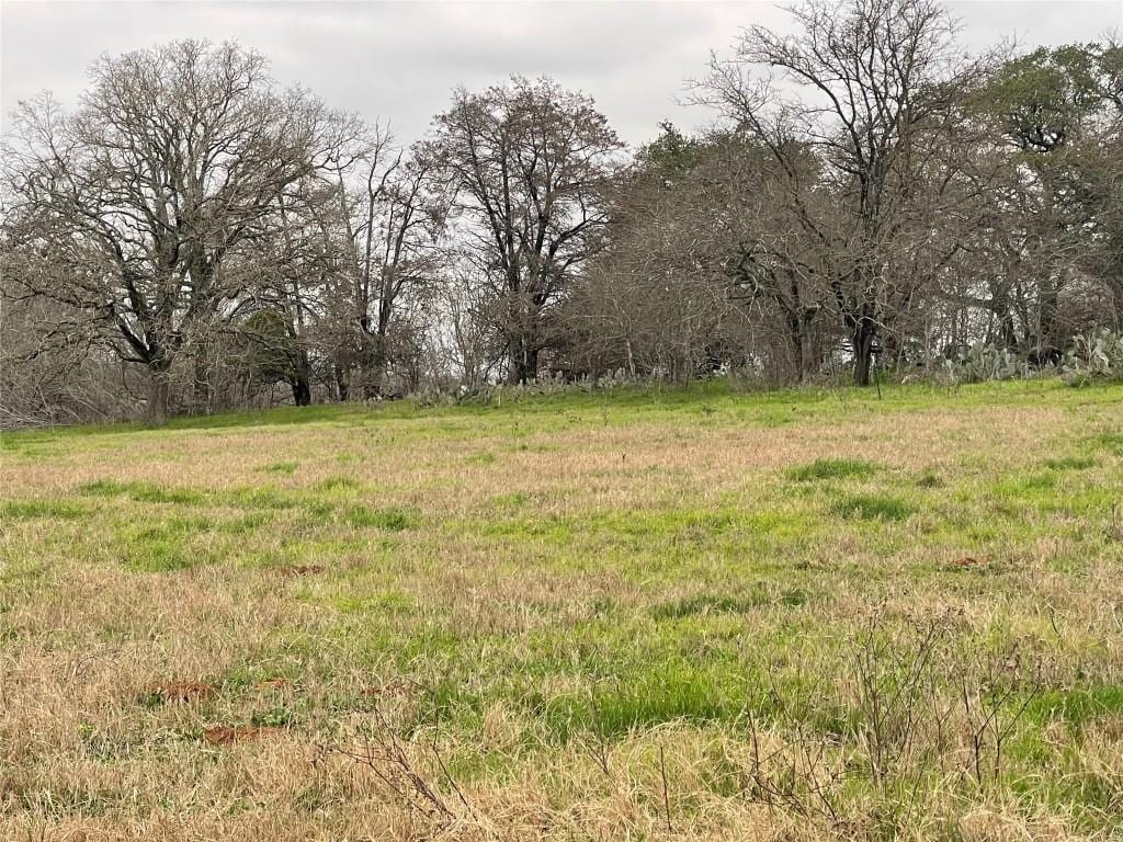 5884 Tenneycreek Rd, Luling, TX 78648 - photo 4