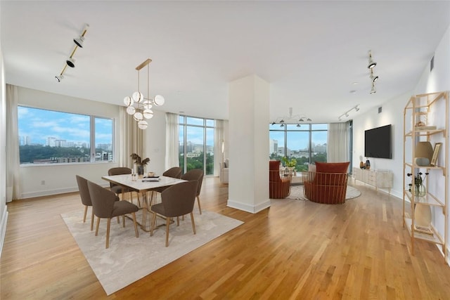 dining area with a healthy amount of sunlight, light wood-style floors, and rail lighting