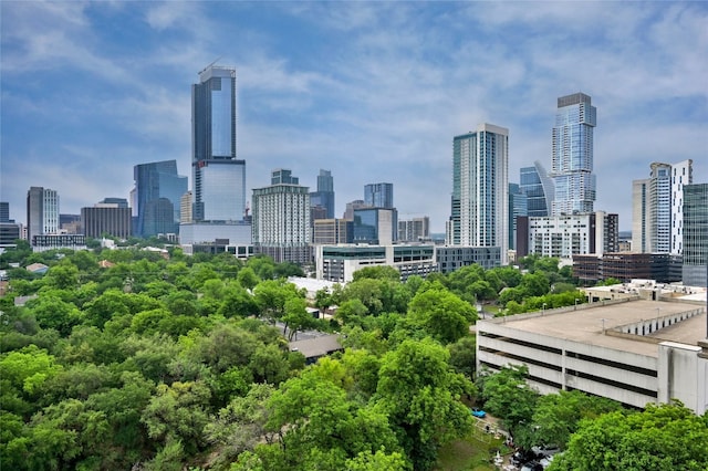 901 W 9th St Unit 1002, Austin, TX 78703 - photo 10