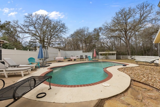 view of swimming pool featuring a patio area, a fenced backyard, and a fenced in pool