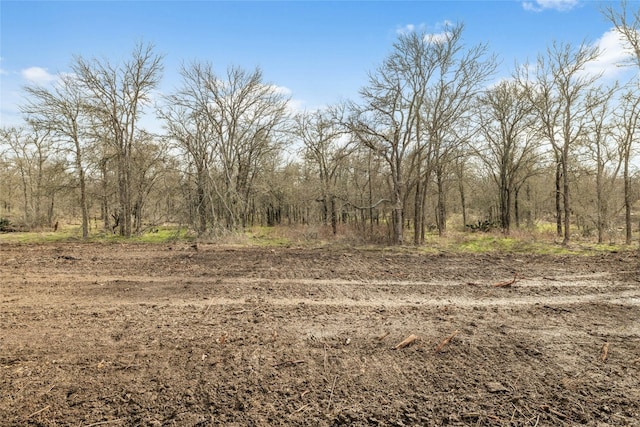 680 County Road 467, Elgin, TX 78621 - photo 4