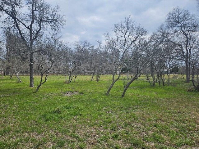 3029(A) Fm 1704, Elgin, TX 78621 - photo 22