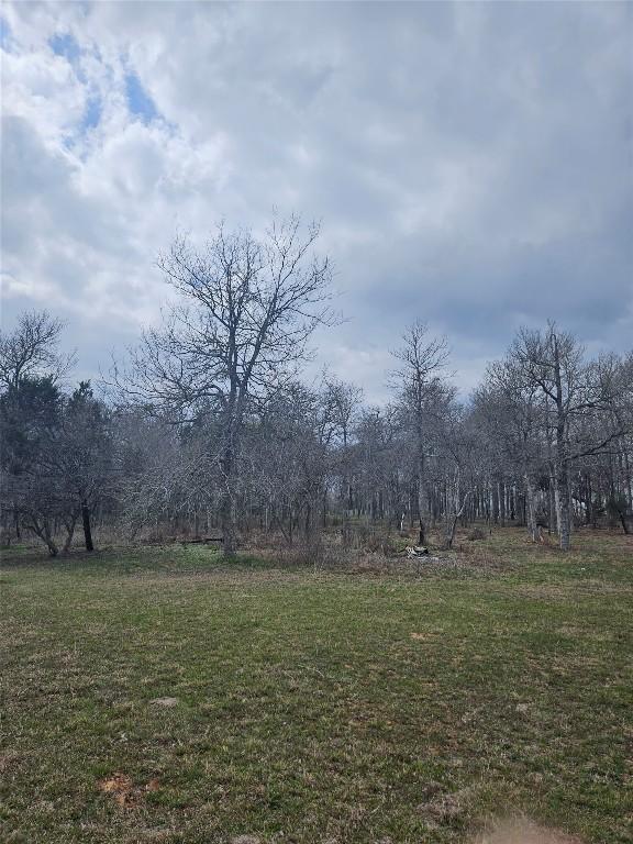 3029(A) Fm 1704, Elgin, TX 78621 - photo 19