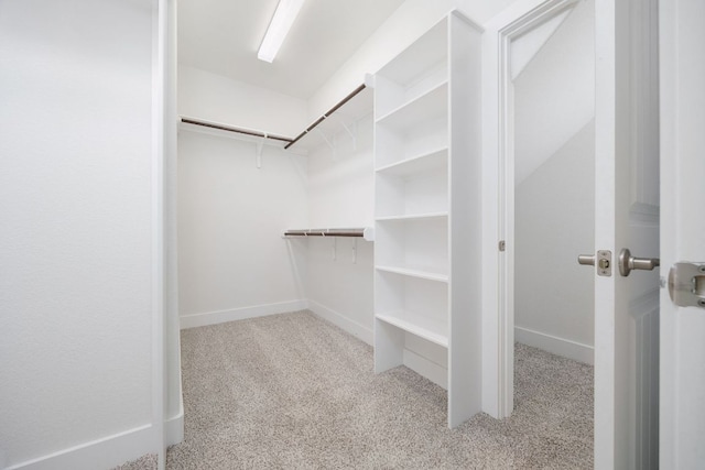 walk in closet featuring carpet floors