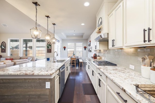 13825 Chester Knl, San Antonio, TX 78253 - kitchen featuring extractor fan, dark wood-type flooring, a sink, appliances with stainless steel finishes, and a tray ceiling