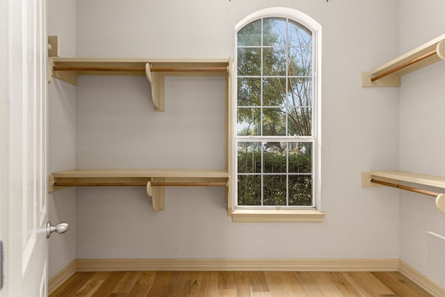 walk in closet featuring wood finished floors