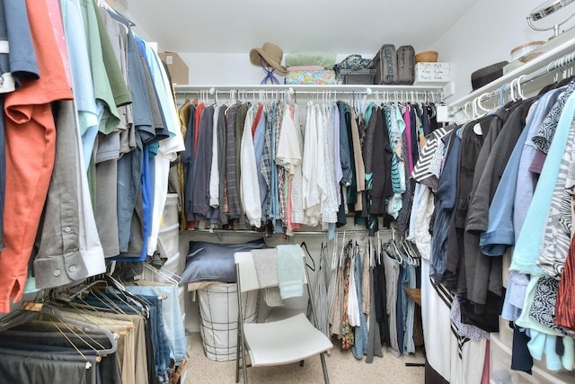 view of spacious closet