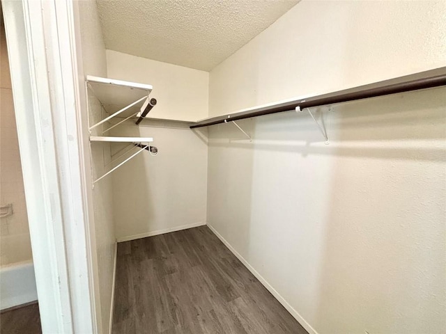 walk in closet with dark wood-style flooring