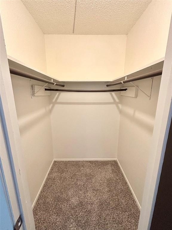 spacious closet with carpet floors