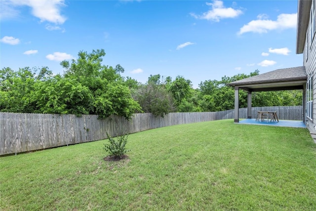 view of yard featuring a fenced backyard and a patio