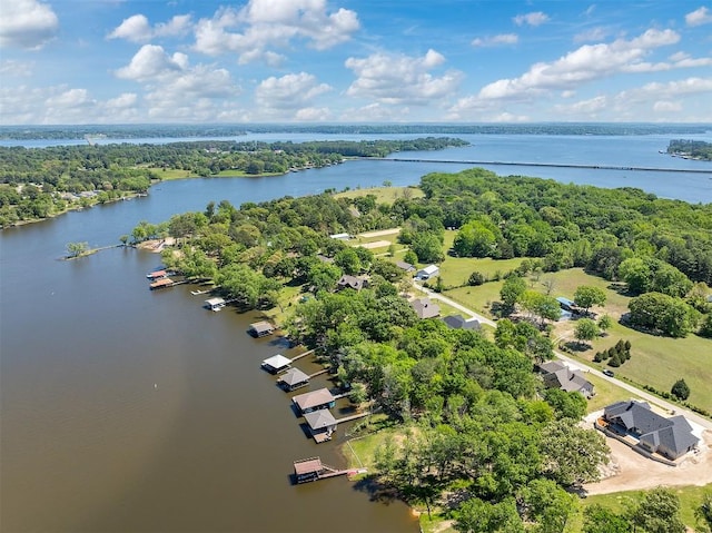 bird's eye view featuring a water view