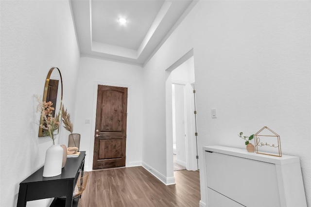 entryway featuring a tray ceiling, baseboards, and wood finished floors