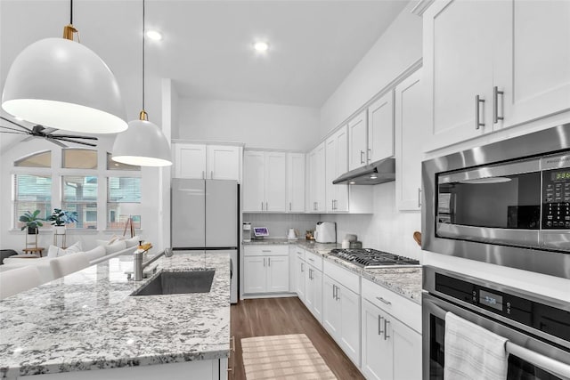 kitchen featuring appliances with stainless steel finishes, dark wood-type flooring, under cabinet range hood, white cabinetry, and a sink