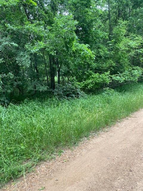 LOT812 Kaukonahua Ln, Bastrop TX, 78602 land for sale