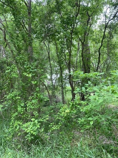 Listing photo 3 for LOT812 Kaukonahua Ln, Bastrop TX 78602