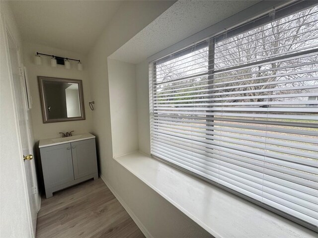 bathroom featuring wood finished floors and vanity