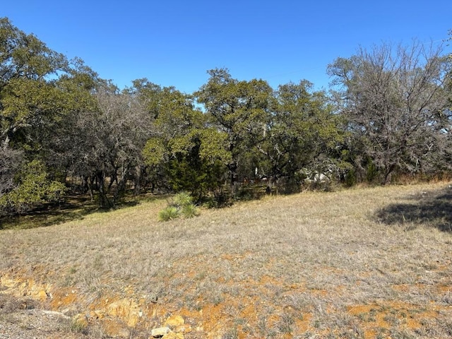 118 Cactus Cor, Horseshoe Bay, TX 78657 - photo 1