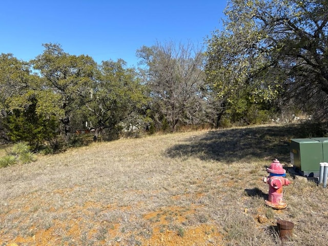 118 Cactus Cor, Horseshoe Bay, TX 78657 - photo 2