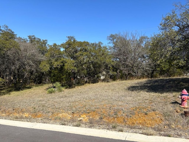 118 Cactus Cor, Horseshoe Bay, TX 78657 - photo 3