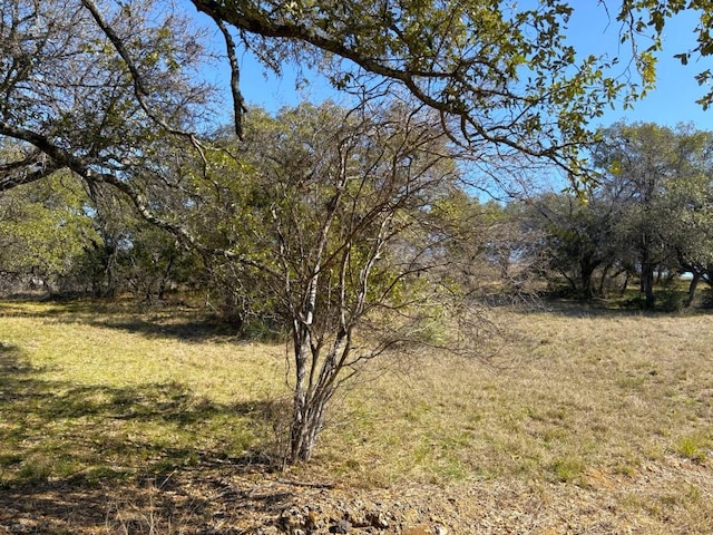 118 Cactus Cor, Horseshoe Bay, TX 78657 - photo 4