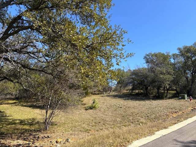 118 Cactus Cor, Horseshoe Bay, TX 78657 - photo 5
