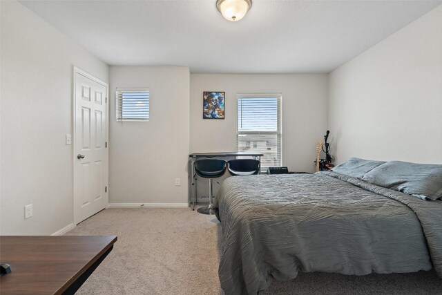 225 Audie Murphy Dr, Leander, TX 78641 - photo 30